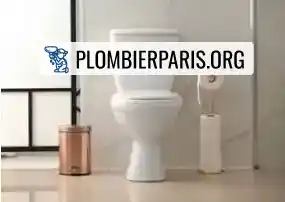 Remplacement de wc Paris