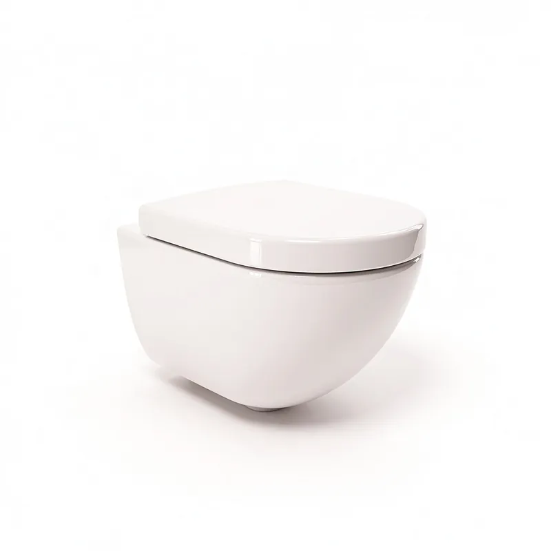 Pose WC Suspendu Paris